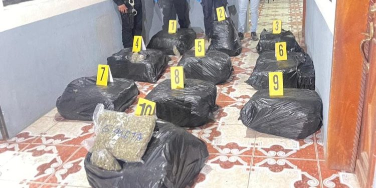 Este decomiso representa una pérdida significativa para las estructuras criminales que operan en la región fronteriza con México. / Foto: ´PNC