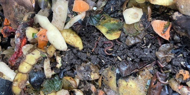 Uno de los temas centrales de la capacitación fue la elaboración del bocashi, un fertilizante orgánico que se produce mediante la fermentación controlada de materiales orgánicos. / Foto: MAGA