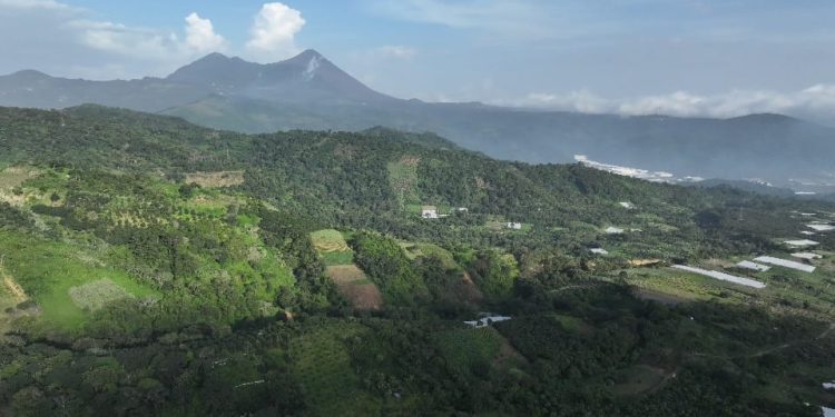 El MAGA continuará con el monitoreo permanente de las condiciones climáticas y productivas. / Foto: MAGA.