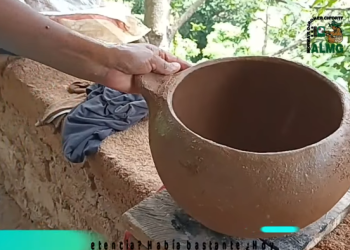 A través del idioma "ch'orti", la ALMG promueve la conservación de prácticas ancestrales. / Foto: ALGM y TVMaya.
