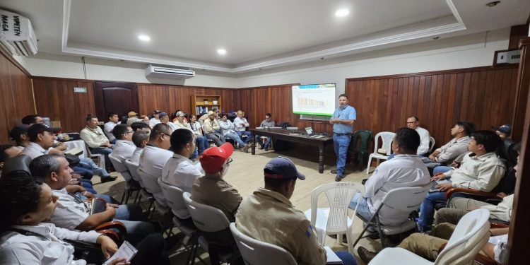 Acciones concretas para combatir la deforestación y restaurar áreas degradadas en Petén