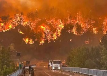 Los incendios forestales que azotan Europa han consumido cientos de miles de hectáreas, mientras las altas temperaturas agobian a millones de personas.