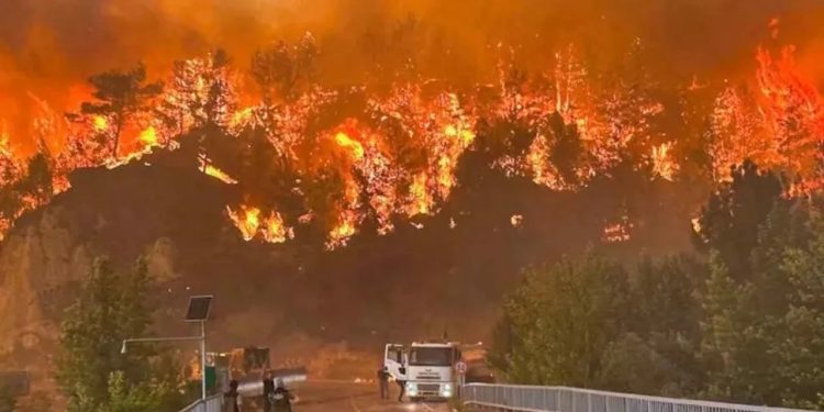Los incendios forestales que azotan Europa han consumido cientos de miles de hectáreas, mientras las altas temperaturas agobian a millones de personas.