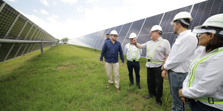 El presidente Bernardo Arévalo hace un recorrido por un sector de la nueva planta Magdalena Solar I, en La Democracia, Escuintla. /Foto: Gilber García
