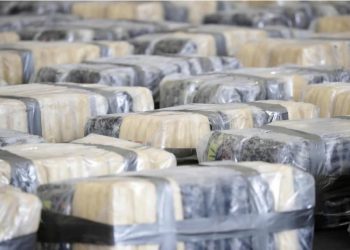 El cargamento de cocaína se encontraba en dos contenedores con destino a Alemania y Centroamérica.