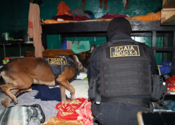 Las autoridades detallaron que en esta intervención participó personal de unidades especializadas y el equipo canino K9 de la SGAIA. / Foto: PNC