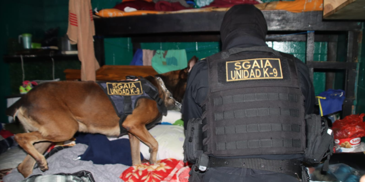 Las autoridades detallaron que en esta intervención participó personal de unidades especializadas y el equipo canino K9 de la SGAIA. / Foto: PNC