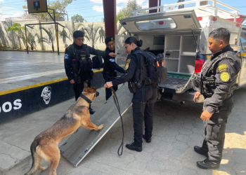 EE. UU. reforzó a la unidad K9 de la Policía Nacional Civil. / Foto: Embajada de los Estados Unidos en Guatemala.