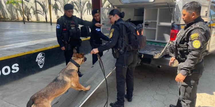 EE. UU. reforzó a la unidad K9 de la Policía Nacional Civil. / Foto: Embajada de los Estados Unidos en Guatemala.