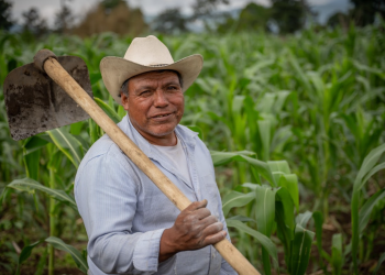 Pequeños y medianos productores pueden acceder al Crédito Tob'anik. / Foto: Álvaro Interiano.