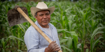 Pequeños y medianos productores pueden acceder al Crédito Tob'anik. / Foto: Álvaro Interiano.