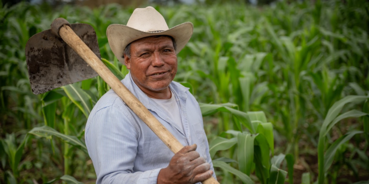 Pequeños y medianos productores pueden acceder al Crédito Tob'anik. / Foto: Álvaro Interiano.