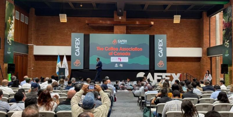 Guatemala y Canadá fortalecen relaciones comerciales en la industria del café