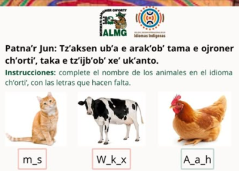 Comunidad lingüística chortí publica contenido educativo para la difusión del idioma./Foto: ALMG.
