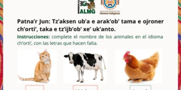 Comunidad lingüística chortí publica contenido educativo para la difusión del idioma./Foto: ALMG.