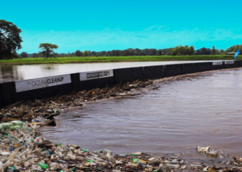 La biobarda facilitada por The Ocean Cleanup ha evitado la llegada masiva de residuos al Caribe./Foto: MARN.