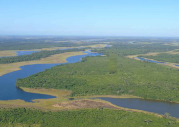 Ministerio de Ambiente inicia recuperación del Parque Nacional Laguna del Tigre.
