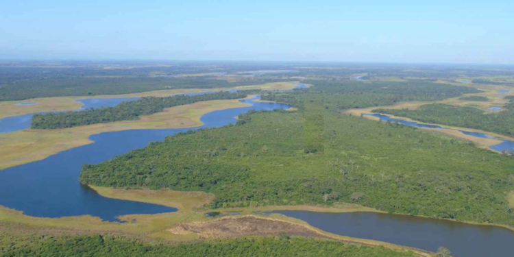 Ministerio de Ambiente inicia recuperación del Parque Nacional Laguna del Tigre.