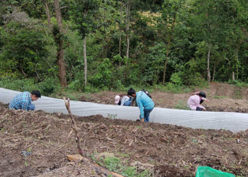 Cada huerto comunal representa una oportunidad para que las familias produzcan alimentos frescos en casa. / Foto: MAGA