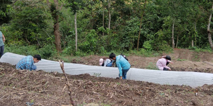 Cada huerto comunal representa una oportunidad para que las familias produzcan alimentos frescos en casa. / Foto: MAGA