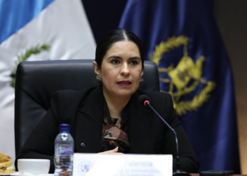 Viceministra de Antinarcóticos, Claudia Palencia. / Foto: Mingob.