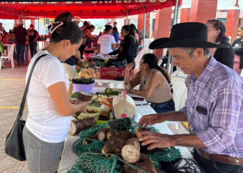 Con esta iniciativa, el MAGA reafirma su compromiso de llevar a diferentes regiones del territorio guatemalteco oportunidades que generen desarrollo. / Foto: MAGA.