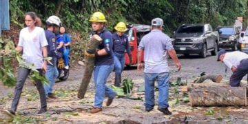 El Sistema Conred atiende emergencias por lluvias./Foto: Conred.