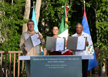Las tres naciones buscan proteger la selva maya que comparten./Foto: Byron de la Cruz.