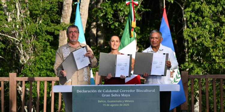 Las tres naciones buscan proteger la selva maya que comparten./Foto: Byron de la Cruz.