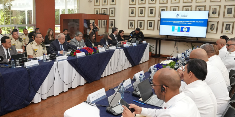 Guatemala y Belice afianzan sus relaciones bilaterales y de cooperación en áreas de carácter estratégico. / Foto: Minex.