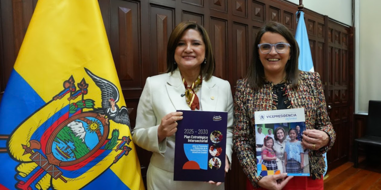 Las vicepresidentas de Guatemala y Ecuador se reunieron para abordar temas de atención integral. (Foto: vicepresidencia)