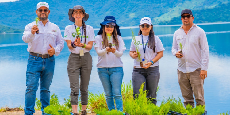 Inguat promueve la reforestación en la Laguna de Ayarza./Foto: Inguat.