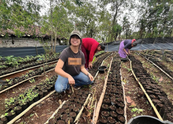 La formación se sustenta en un modelo de aprendizaje participativo, en el cual los jóvenes transmiten experiencias y conocimientos entre sí. / Foto: MAGA.