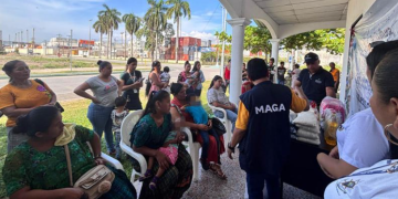 Estas iniciativas reflejan la voluntad de las instituciones de Estado por promover el desarrollo integral de la niñez. / Foto: MAGA