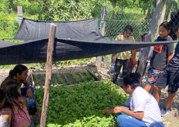 Una de las principales metas del huerto escolar fue promover la adopción de prácticas alimentarias saludables en los niños y sus familias. / Foto: MAGA