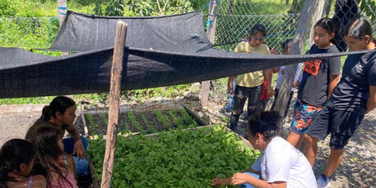 Una de las principales metas del huerto escolar fue promover la adopción de prácticas alimentarias saludables en los niños y sus familias. / Foto: MAGA