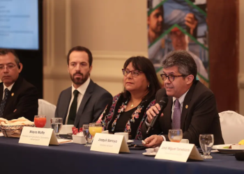 Ministerio de Salud comparte avances en la digitalización de trámites regulatorios. (Foto: MSPAS)