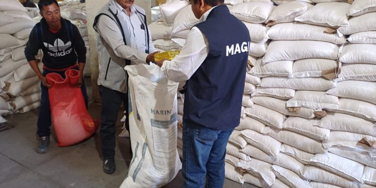 Familias beneficiadas con la entrega de Alimentos por Acciones en Escuintla y Totonicapán