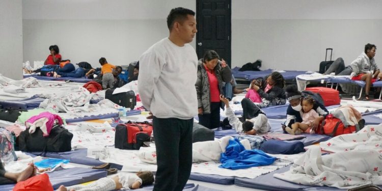 Jueza detiene deportación de niños que llegaron solos a EE. UU.