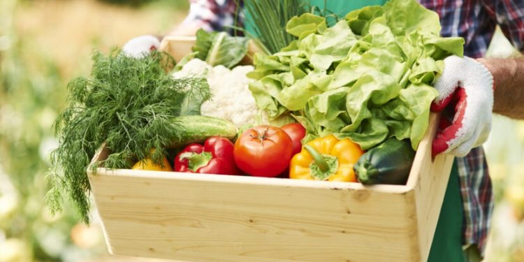 Científicos sugieren reducir el consumo de verduras y carne para mitigar la degradación del suelo.