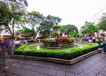 Arte, tradición y economía cultural se unen en el Festival de las Flores 2025