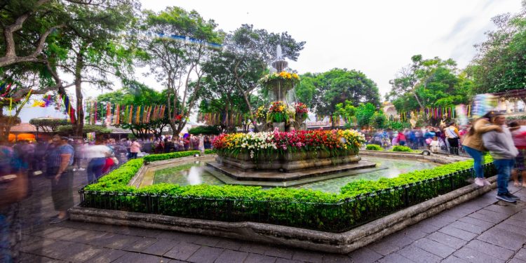 Arte, tradición y economía cultural se unen en el Festival de las Flores 2025