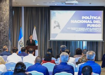 Encuentro para la construcción de una política nacional de fuego. / Foto: MAGA.