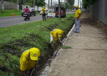 Acciones de limpieza y mantenimiento integral de la Ruta Nacional 9