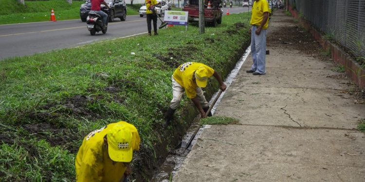 Acciones de limpieza y mantenimiento integral de la Ruta Nacional 9