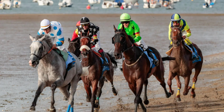 Analizaron muestras para identificar la modificación genética de los caballos. / Foto: EFE.