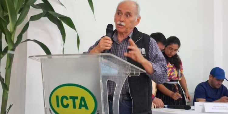 Llamado a preservar semillas nativas en el marco del Día Nacional del Maíz