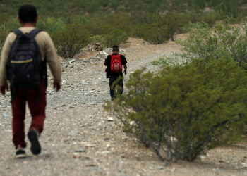 El mecanismo busca a migrantes guatemaltecos desaparecidos. / Foto: EFE.