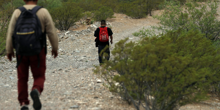 El mecanismo busca a migrantes guatemaltecos desaparecidos. / Foto: EFE.