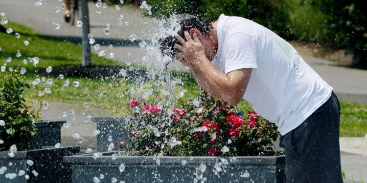 Analizan los efectos de las olas de calor en el cuerpo humano. / Foto: EFE.
